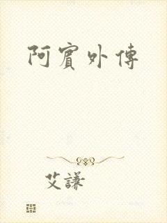 阿宾外传