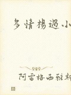 多情杨过小说封面