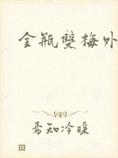 金瓶双梅外传