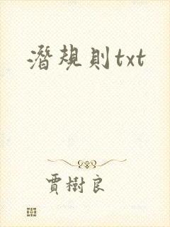潜规则txt