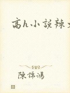 高h小说辣文封面