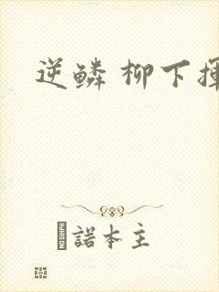 逆鳞 柳下挥封面