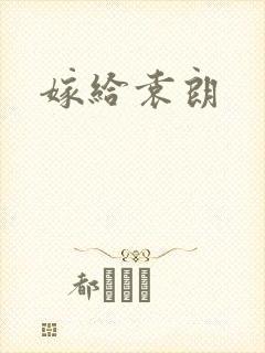 嫁给袁朗
