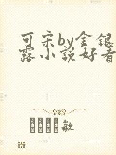 可宋by金银花露小说好看吗封面