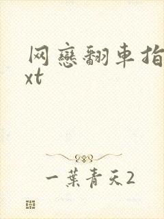 网恋翻车指南txt