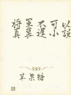 将军不可以魏云真慕迟小说笔趣阁