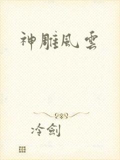 神雕风云封面
