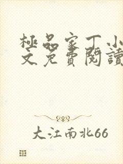 极品家丁小说全文免费阅读