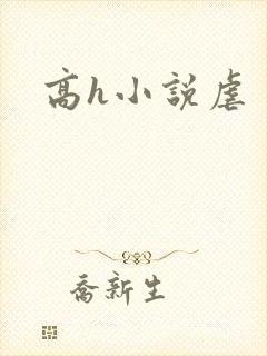 高h小说虐