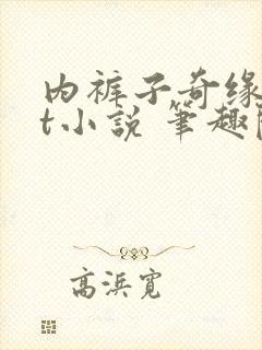 内裤子奇缘txt小说 笔趣阁