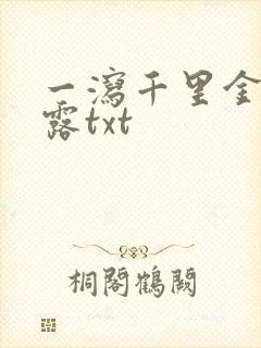 一泻千里金银花露txt封面