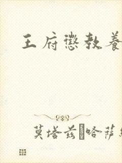 王府惩教养日常封面