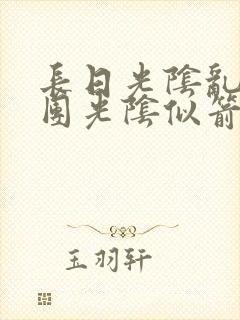 长日光阴乱作一团光阴似箭灵欲教封面