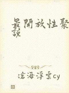 最开放性聚会小说