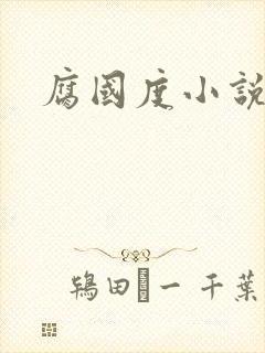 腐国度小说