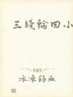 三线轮回小说封面
