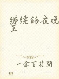 缠绕的夜晚双男主