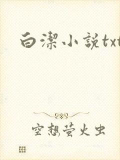 白洁小说txt