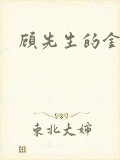 顾先生的金丝雀封面