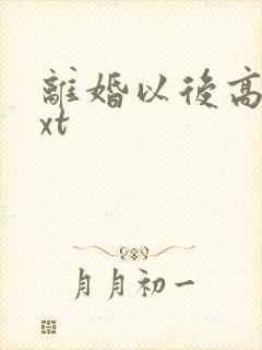 离婚以后高干txt封面