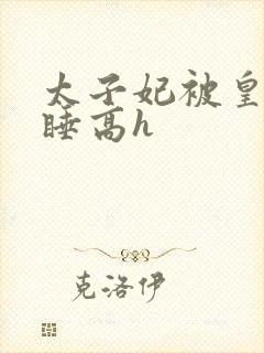 太子妃被皇上强睡高h