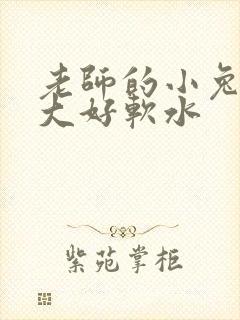 老师的小兔子好大好软水封面