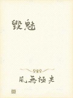 毁魅