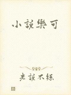 小说乐可封面