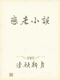 恋老小说