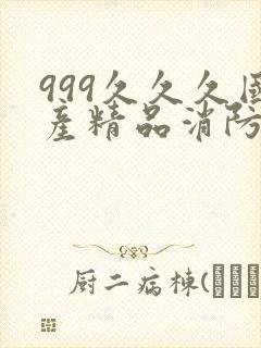 999久久久国产精品消防器材