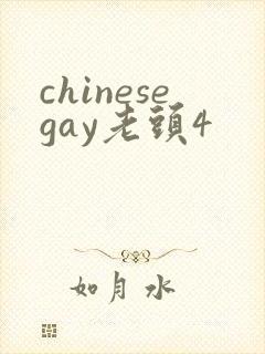 chinesegay老头4