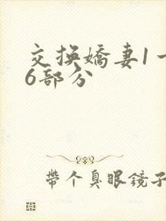 交换娇妻1一36部分