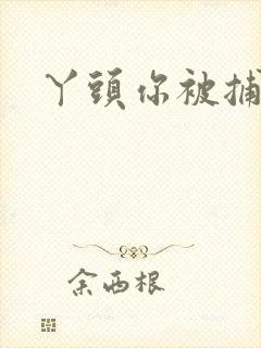 丫头你被捕了