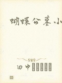 蝴蝶公墓小说