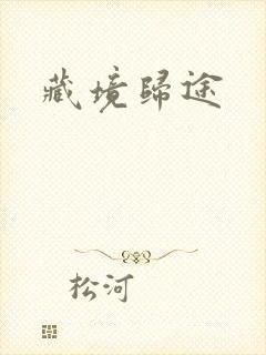 藏境归途封面