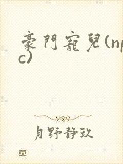豪门宠儿(npc)