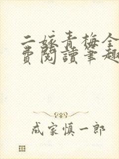 二嫁青梅全文免费阅读笔趣阁封面