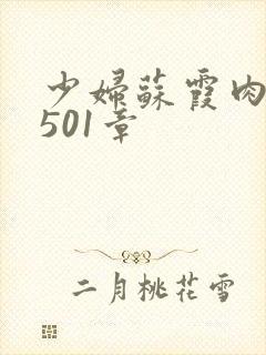 少妇苏霞肉欲第501章