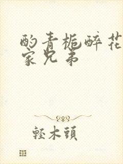 酌青栀醉花阴贺家兄弟封面