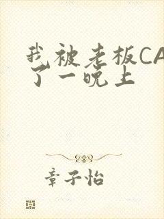 我被老板CAO了一晚上封面