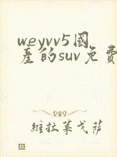 weyvv5国产的suv免费