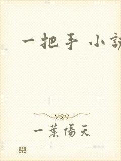 一把手 小说