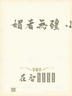 媚者无疆 小说