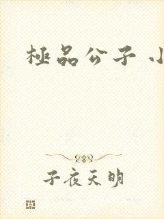 极品公子 小说