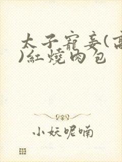 太子宠妾(高肉)红烧肉包