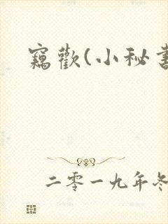 窃欢(小秘书)