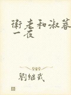 卫老和淑蓉销魂一夜封面