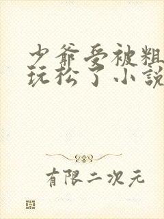 少爷受被粗汉H玩松了小说