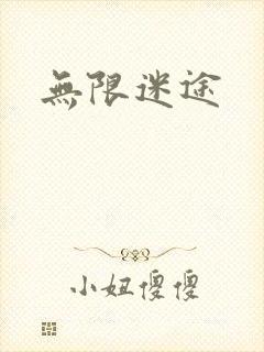 无限迷途封面