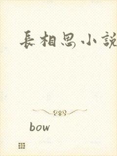 长相思小说原著